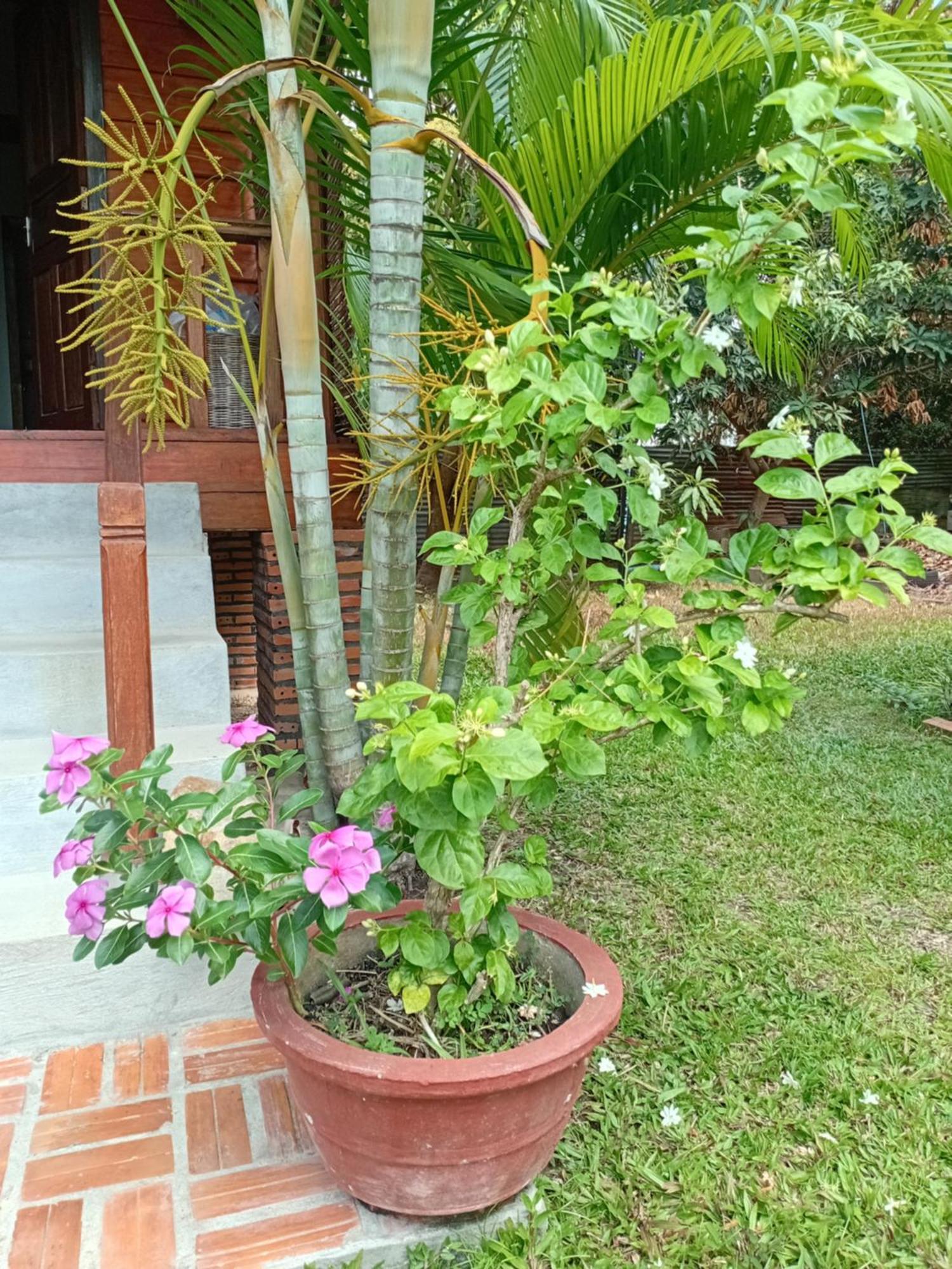 The Hidden Oasis Bungalows Kampot Exterior foto