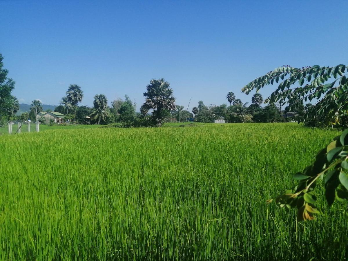 The Hidden Oasis Bungalows Kampot Exterior foto