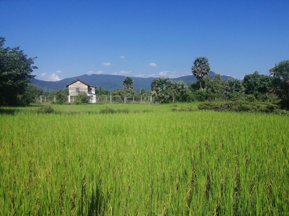 The Hidden Oasis Bungalows Kampot Exterior foto